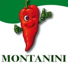 Montanini